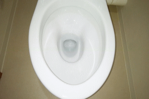 トイレ尿石除去の風景画像
