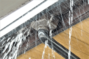 雨樋のつまり・汚れの画像